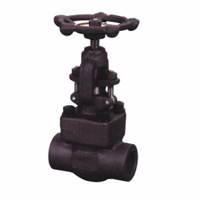 globe valve