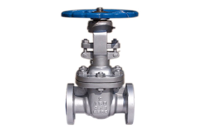 gate valve