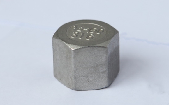 stainless steel hexagon cap fig no.11